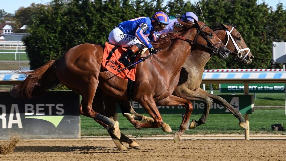 2025 Remsen Stakes at a Glance